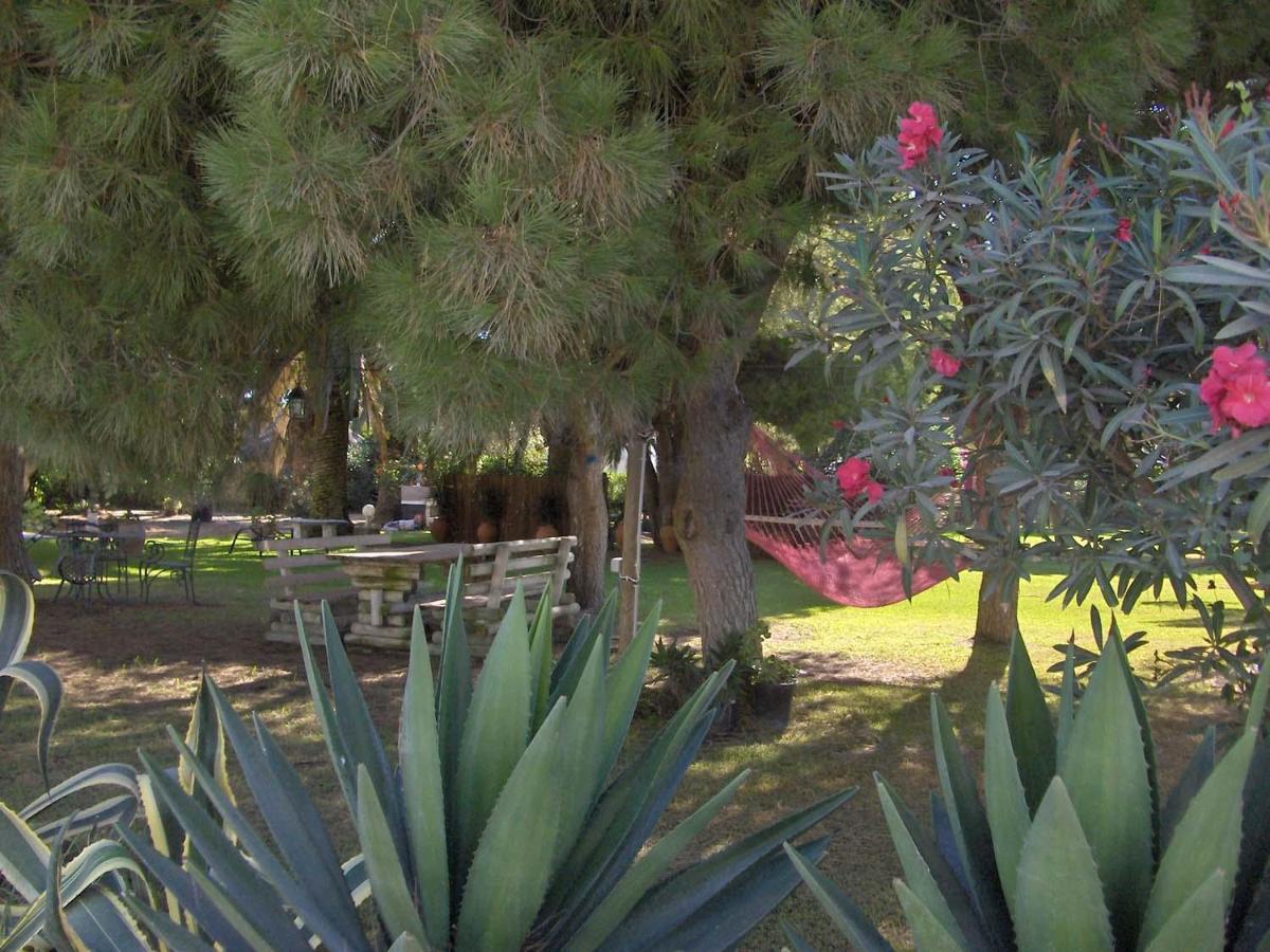 Villa Malyma Beach Front 10,000M2 Botanic Garden Zahora Exterior photo