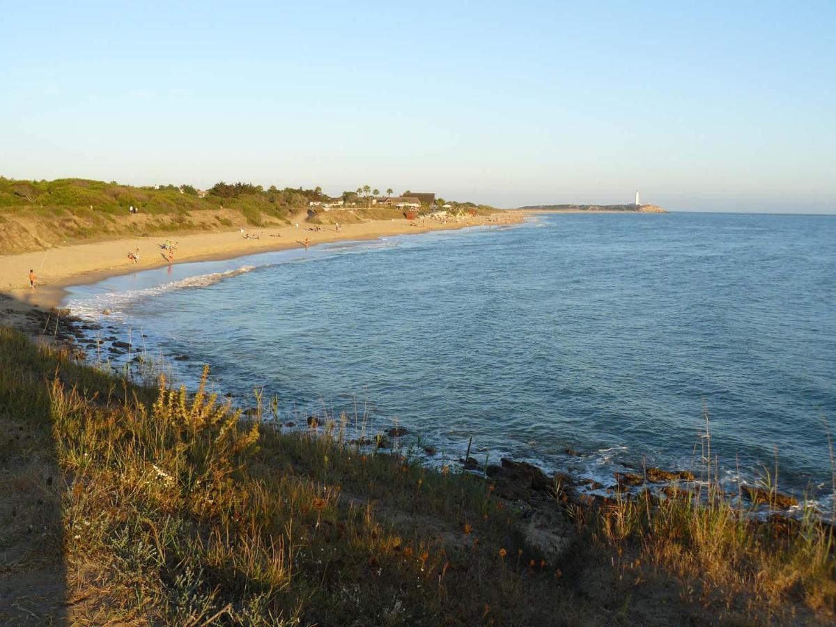 Villa Malyma Beach Front 10,000M2 Botanic Garden Zahora Exterior photo