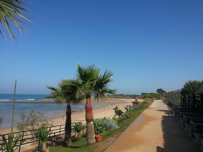 Villa Malyma Beach Front 10,000M2 Botanic Garden Zahora Exterior photo