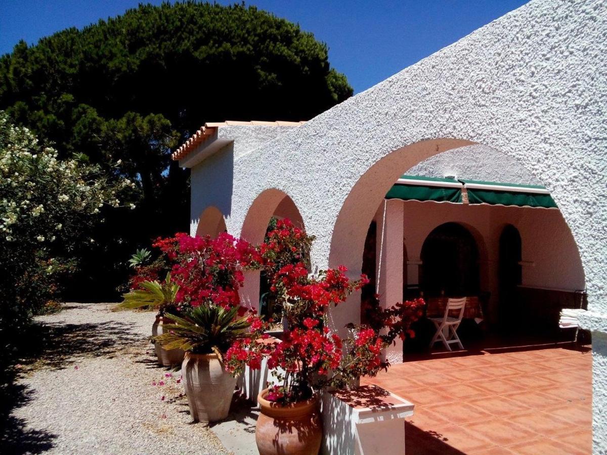 Villa Malyma Beach Front 10,000M2 Botanic Garden Zahora Exterior photo