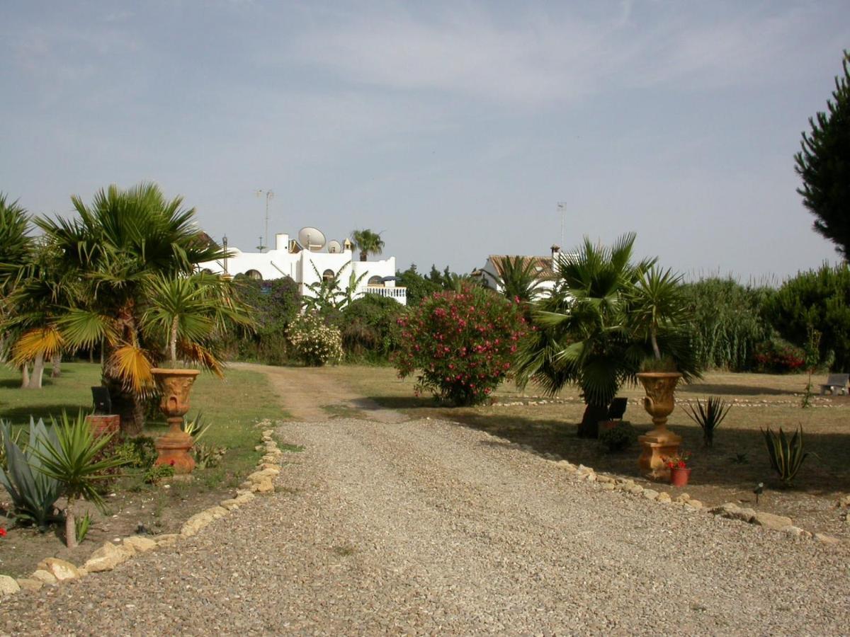 Villa Malyma Beach Front 10,000M2 Botanic Garden Zahora Exterior photo
