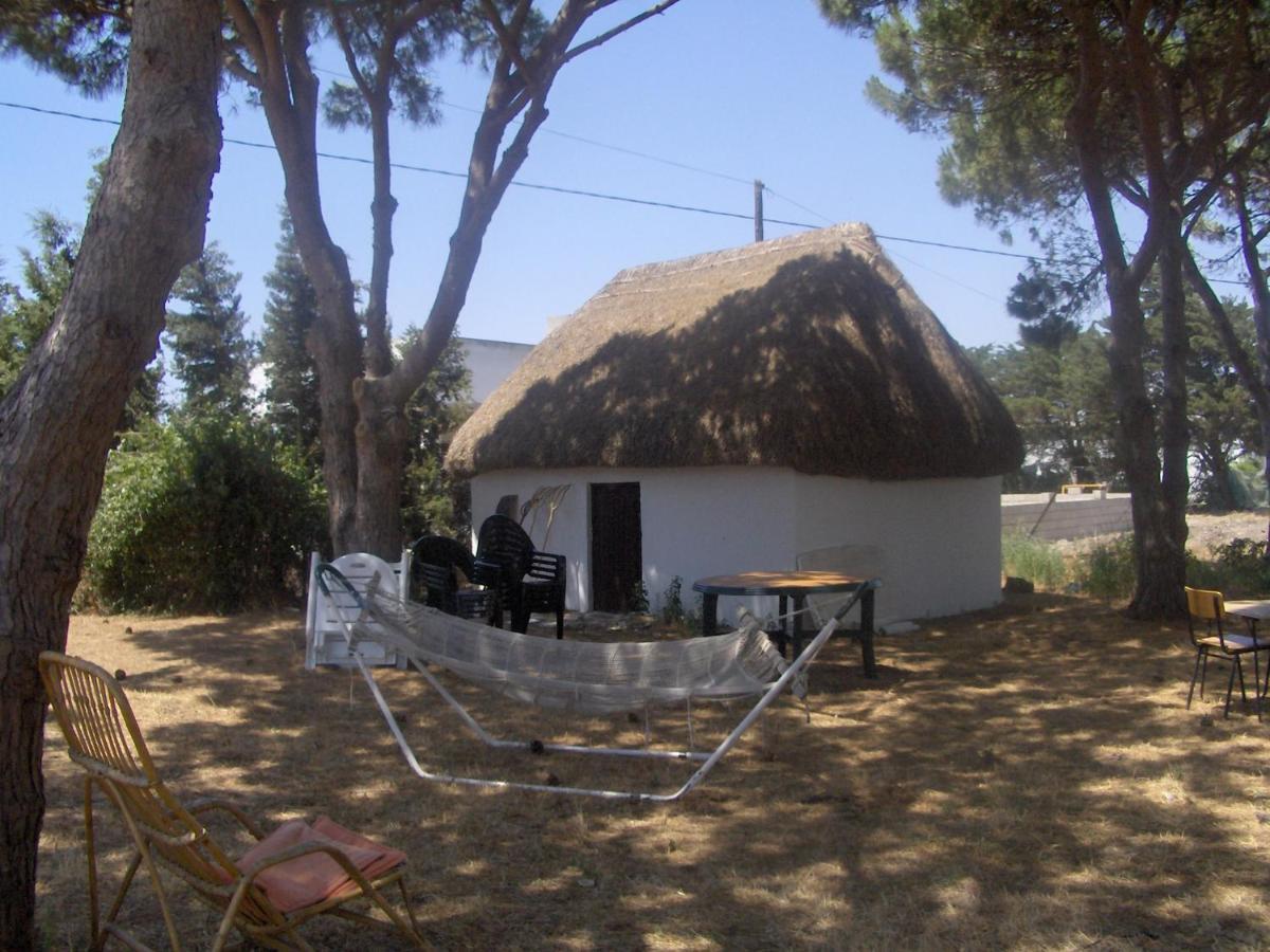 Villa Malyma Beach Front 10,000M2 Botanic Garden Zahora Exterior photo