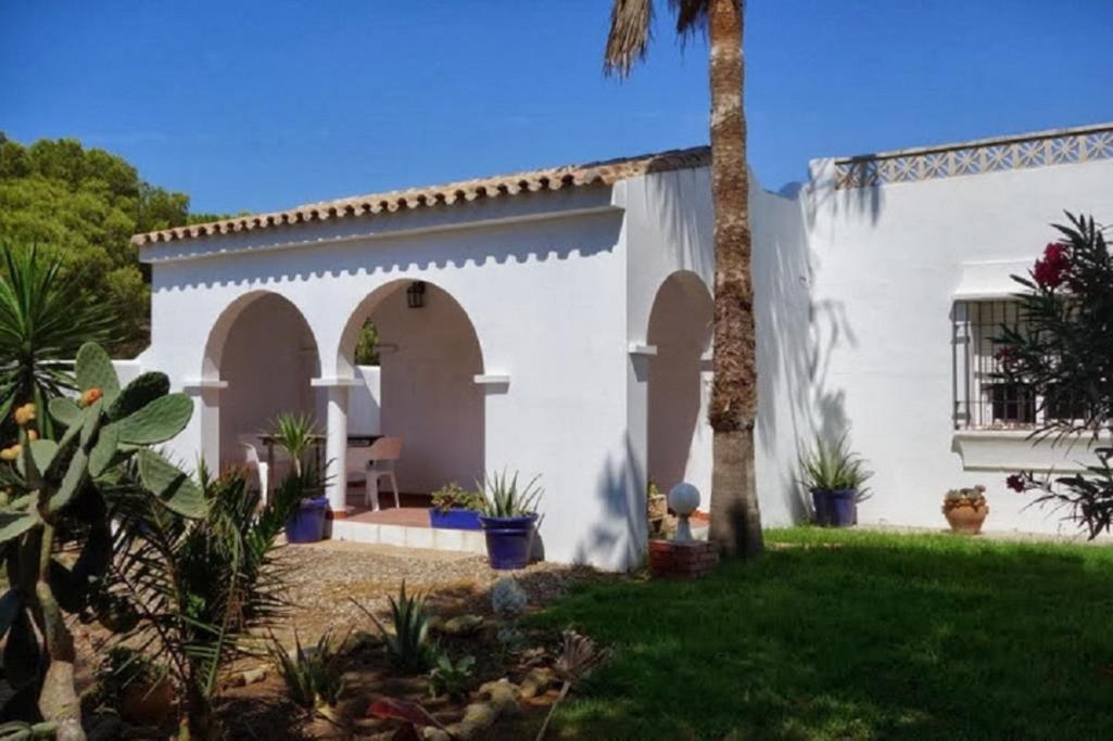 Villa Malyma Beach Front 10,000M2 Botanic Garden Zahora Exterior photo