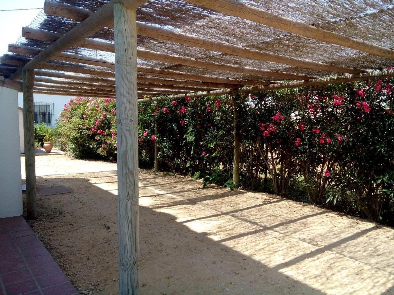 Villa Malyma Beach Front 10,000M2 Botanic Garden Zahora Room photo